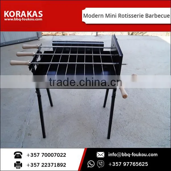 Modern Mini Rotisserie Barbecue photo-5