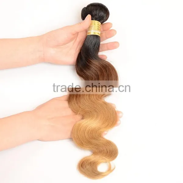 Body Wave 3 Tone Color Ombre Hair, 100% Natural Indian Human Hair Price List photo-3