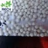 Zinc Sulphate Monohydrate Granule 1-2mm