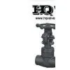 FORGED STEEL GATE VALVE