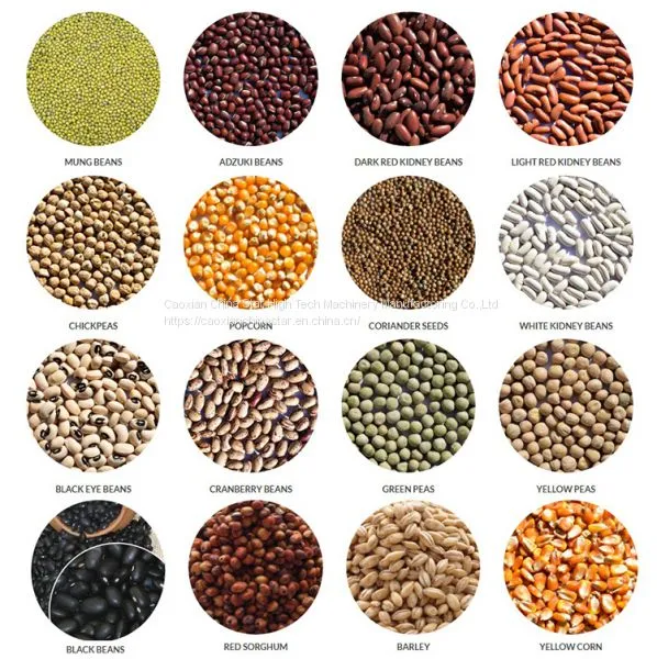 Electric Soybean Peeling Machine Hot Sale Dry Processing Dal Sheller Bean Husking Splitting Peas Peel Machine Price Mini Plant photo-3