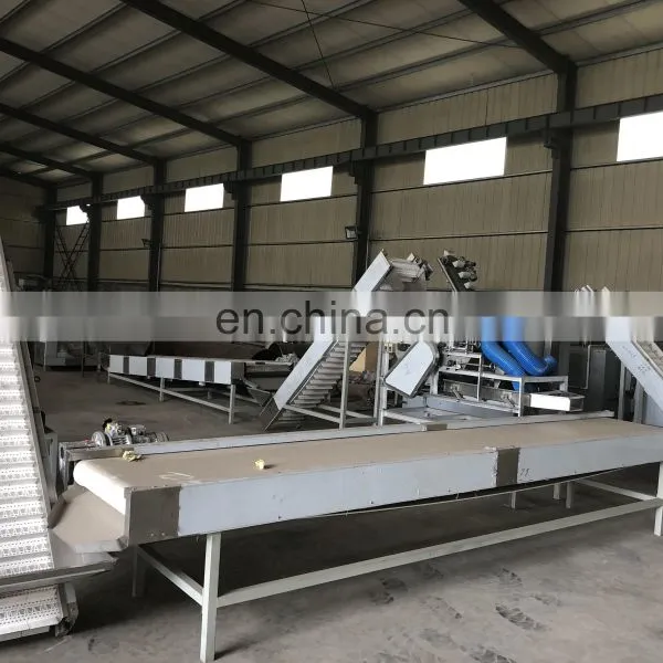 Wholesale Price Small Peanut Butter Machine photo-3