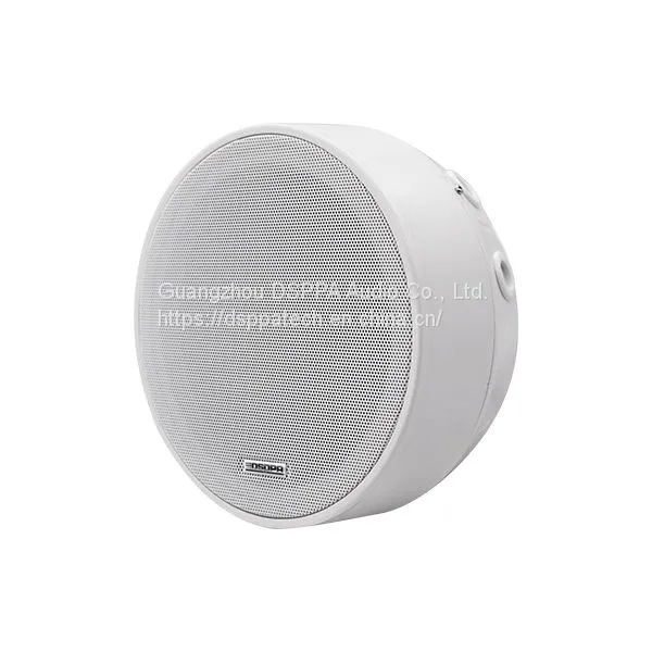 DSP5311 Surface Mount Ceiling Speaker