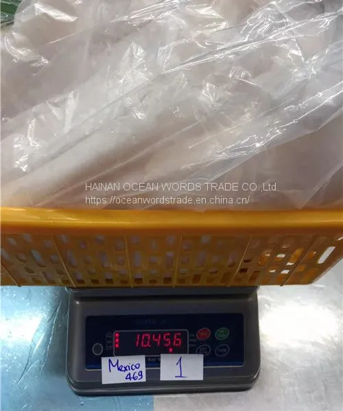 Frozen Pangasius Fillets, (pangasius Hypophthalmus) , Filete De Basa, Basa Rojo, Blanco photo-5