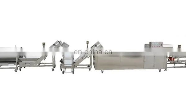 Rood Leaf Vegetables and Fruits Carrot Radish Apple Washing Cutting Packing Processing Machines Plant photo-5