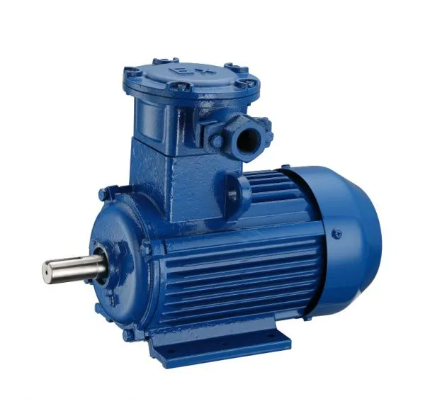 Explosion-proof Motor