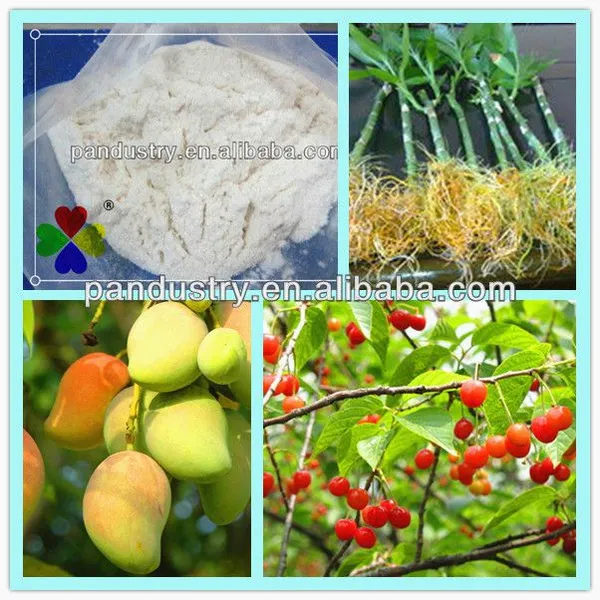 Agrochemical Root Growth Regulator Indole 3 Butyric Acid Potassium Salt 98%TC Ibak photo-2