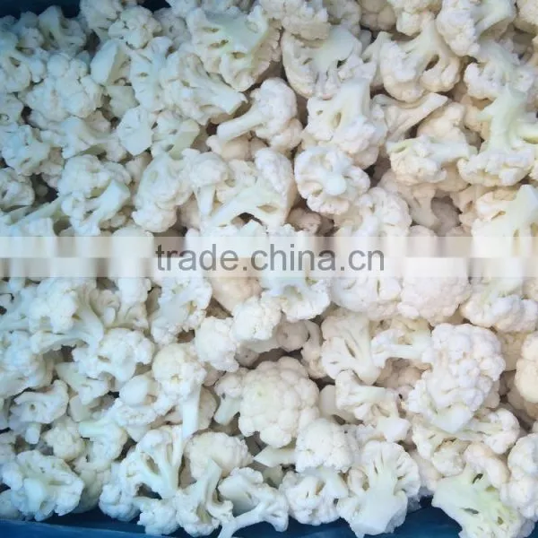 2016 New Crop Iqf Frozen Cauliflower Supply Frozen Cauliflower in Bulk