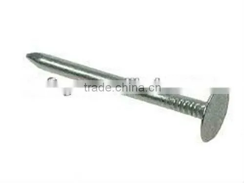 Galvanized Coated Broad Head Nails photo-4