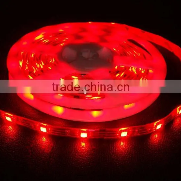 Addressable Decorating Led Lights IP65 Waterproof Swimming Pool Led Light Programmable DC12V 60pcs/m LED Strips photo-3