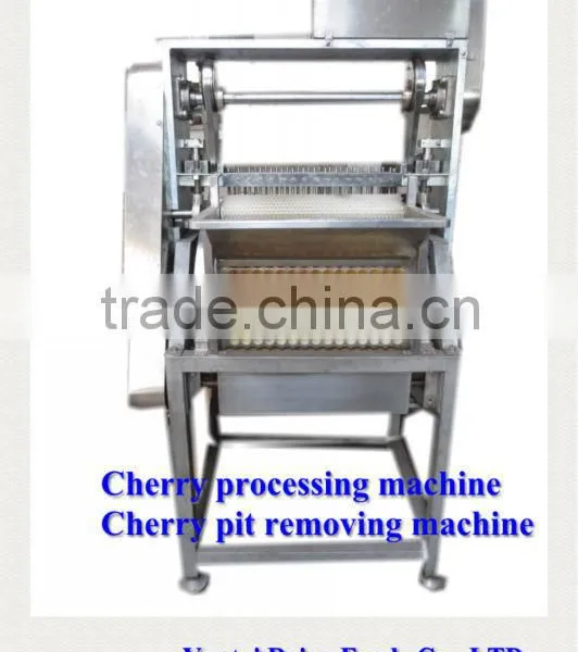 Cherry Seed Removing Machine / Cherry Pitting Machine photo-3