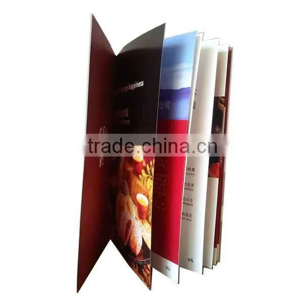 China Supplier Custom Design Brochures and Catalog Printing