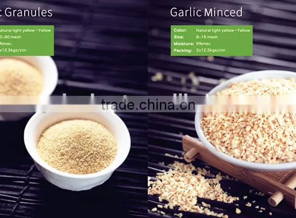 Garlic Seasoning/ Spice Rack/ Condiment Holder16-26 Mesh40-80mesh /Garlic Granule/White Garlic/vegetarian Seasoning