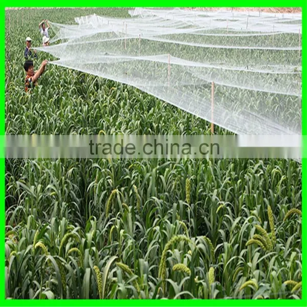 Ultra Fine Insect Netting Garden Crop Veg Protection photo-6