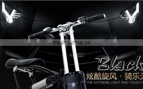 Top Quality Hot Sale Electric Scooter Style photo-5