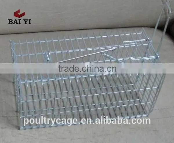 Polycarbonate Laboratory Rodent Cages/Mouse Cage For Slae Cheap And Mouse Cage Design photo-5