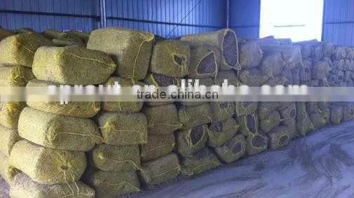 2016 Hydroponic Farm Fodder Growing System for Poultry/Livestock photo-6