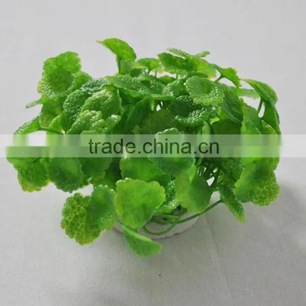 Chian Wholesale Home Fish Tank Decoration Aquatic Plastic photo-5