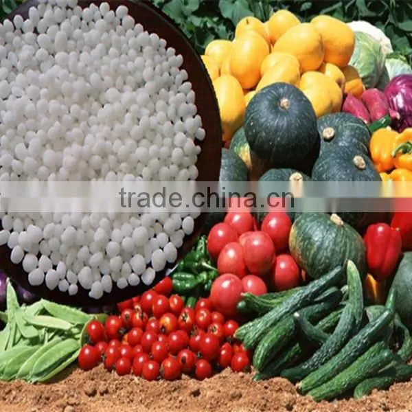 REACH Certificate Calcium Nitrate Fertilizer CN +B