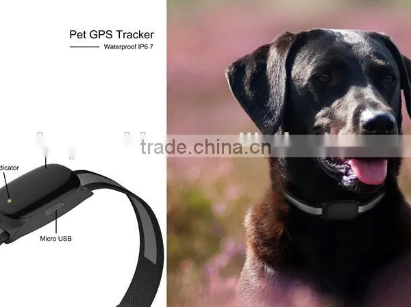 2016 High Quality Worlds Smallest Pet Gps Tracker/gps Tracker Pet