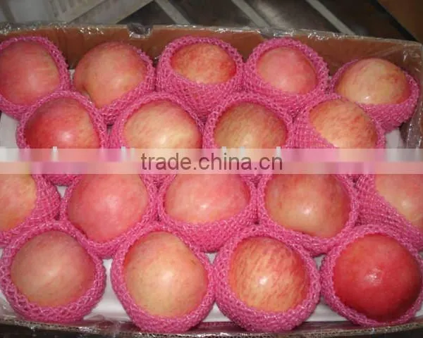 Red Fuji Apple