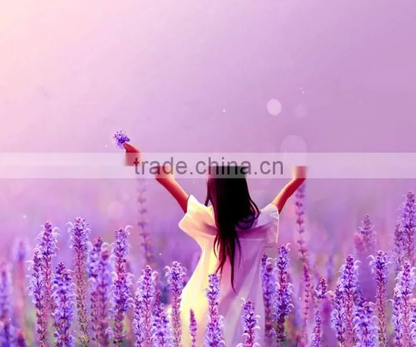 500 ml Liquid Hand Soap Msds photo-2