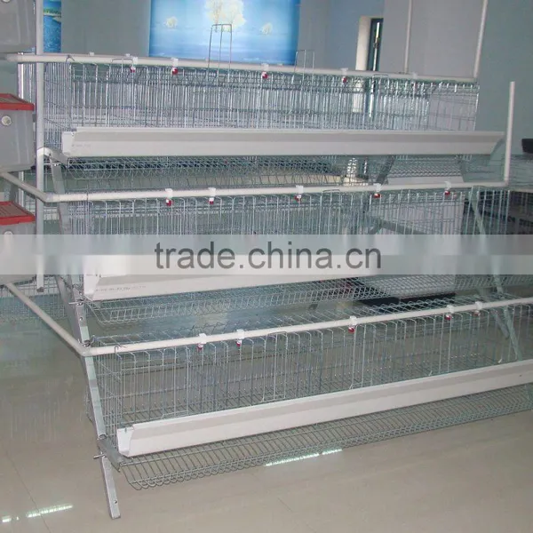 4 Tiers A Type Layer Chicken Battery Cage for Poultry Farm photo-2