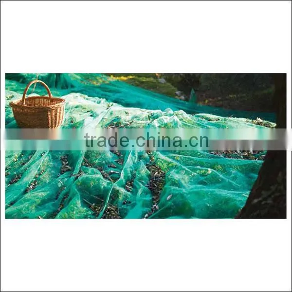Green Square Structure Net for Olive Harvest photo-3
