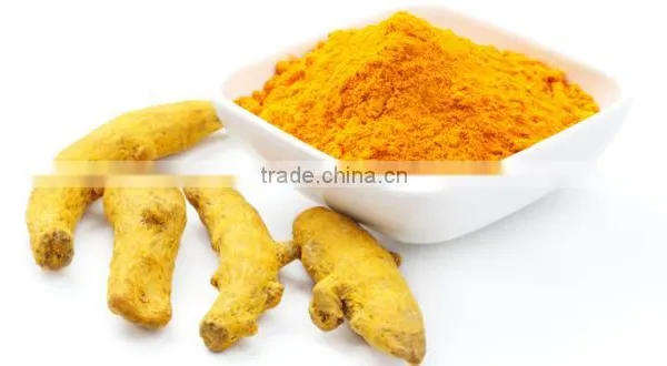 Turmeric Price for Import photo-5