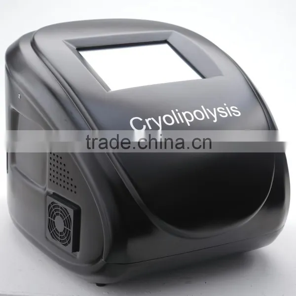 Local Fat Removal 2016 Newest Cryolipolysis Body Cool Shape Slimming Machine Portable Design Fat Reduce photo-3