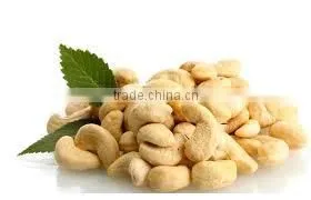 PRICE OF CASHEW NUT WW240