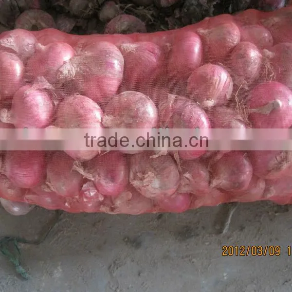 Fresh Onions Fresh Red Onions for Sale Types Red Onions photo-2