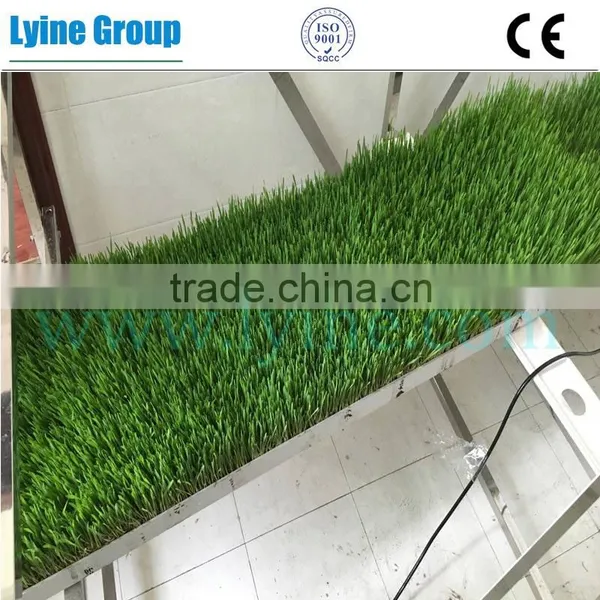 High Quality Hydroponics Fodder Wheat Grass Bean Barley Growing Tray Plastic Flat Pallet
