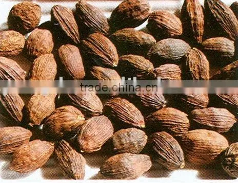 Tsaoko Amomum Fruit