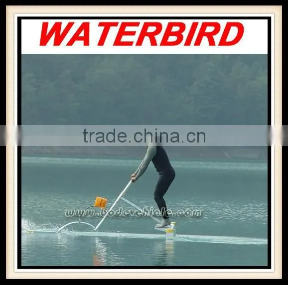 WATER AMUSEMENT PARK 1-2 SEATS AQUA BIKE FOR ASLE