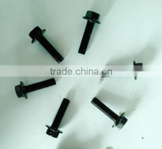 Black Coated Screw and Nut Assembly photo-3
