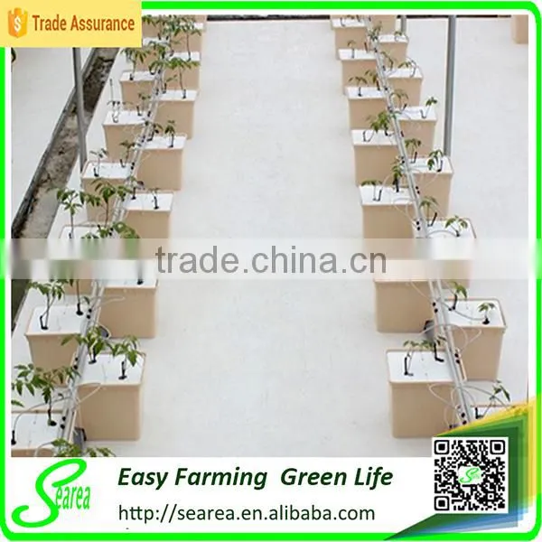 High-tech Hydroponics Machine photo-3