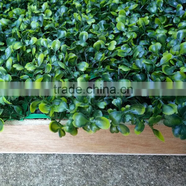 Decorative Artificial Plant Wall photo-5
