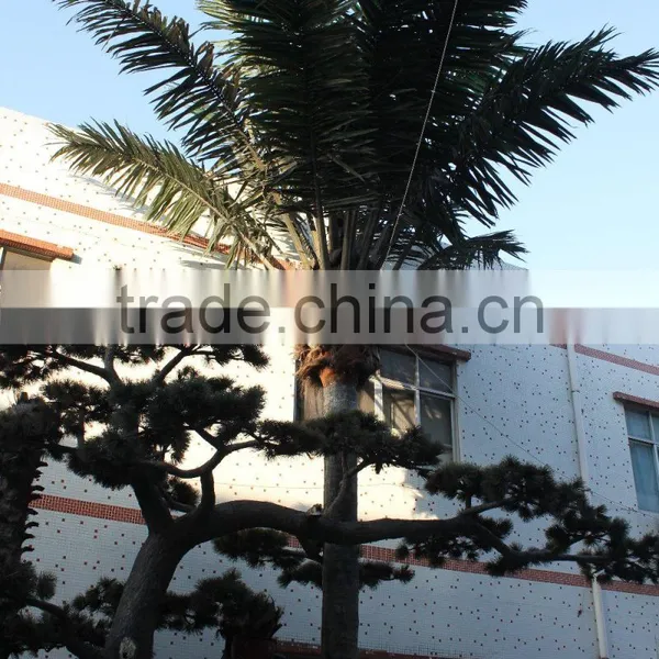 GNW APM014 Imitative Artificial Plastic Leaves Palm Tree for Outdoor Landscape Decoration photo-2