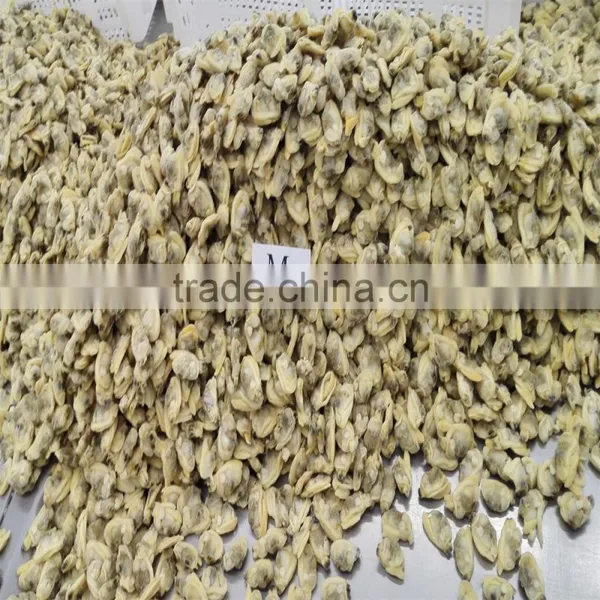 Boiled Baby Clam Nature Fresh FAO61 photo-3