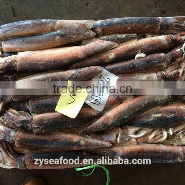 HACCP Frozen Cargo Argentine Squid by Glazing photo-3