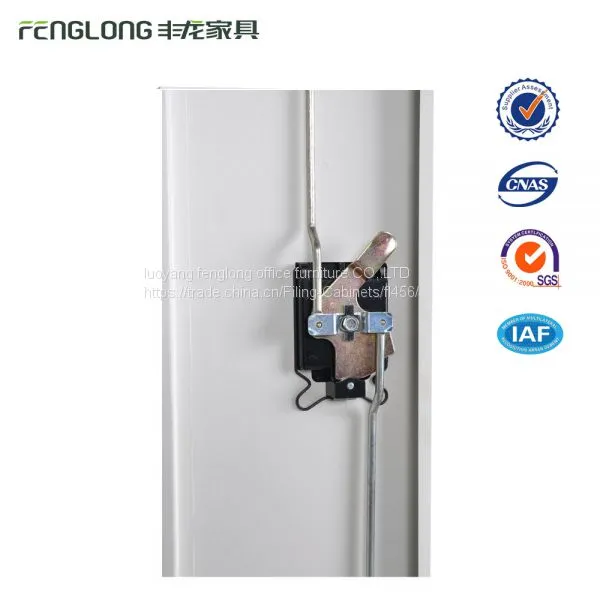 Luoyang Fenglong Factory Direct Sale 2 Sliding Door Industrial Metal Mobile Storage Cabinet photo-5