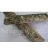 Magnolia Bark Extract