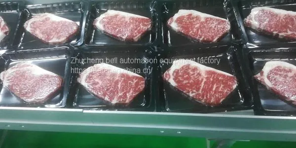 Поставка полностью автоматической вакуумной машины для стикерной упаковки стейков photo-2