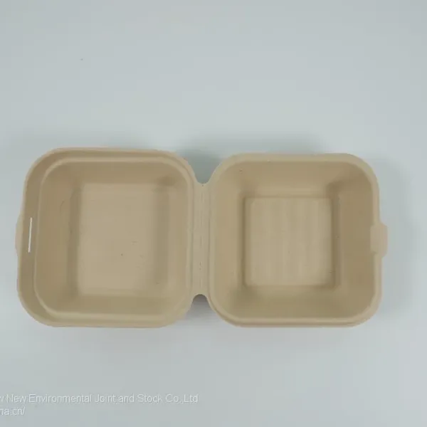 Disposable Lunch Box Salad Box Burger Box photo-2