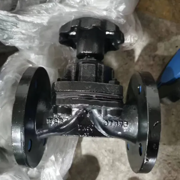 RPP Flanged Manual High Temperature G41F46-16 Diaphragm Valve 1 photo-6
