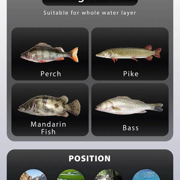 Floating Minnow-GDWF06-90mm/10g photo-5