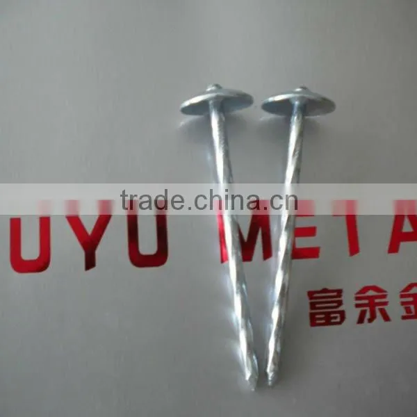 Twisted Umbrella Head Roofing Nail Factory photo-3