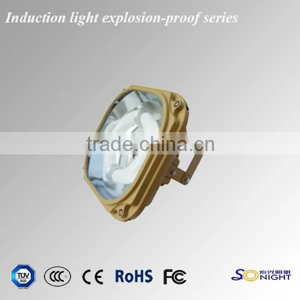 40w 50w 60w Induction Tri-proof Lights photo-4