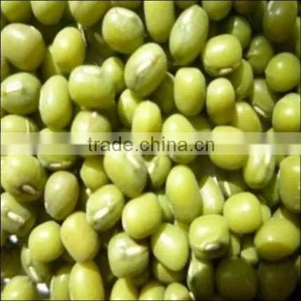 Green Mung Beans